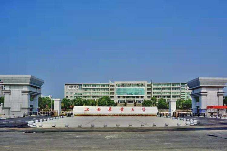 24年江西农业大学研究生考试网上信息确认通知！