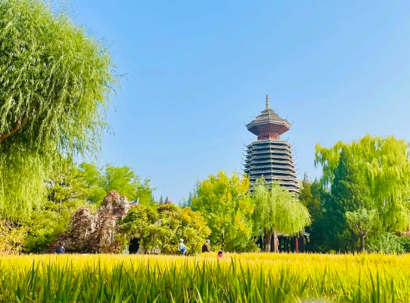 北京爱迪学校