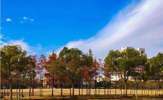 上海应用技术大学