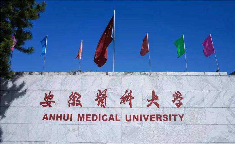 2024年安徽医科大学硕士研究生招生复试录取工作实施办法