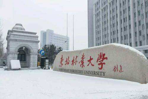 2025年东北林业大学硕士研究生招生初试科目调整情况！