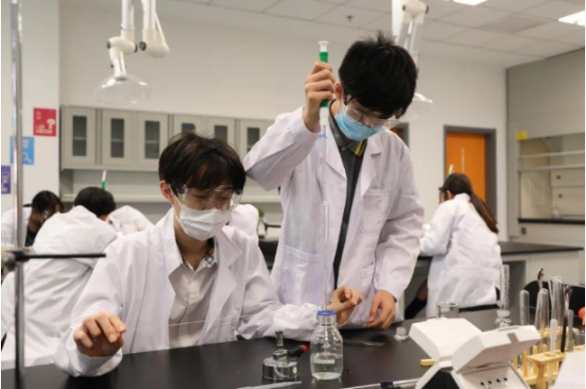 2024年剑桥化学测评：朝阳凯文创佳绩