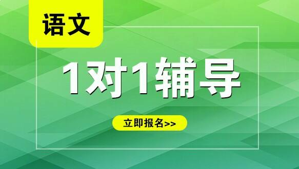 杭州小学语文一对一培训班