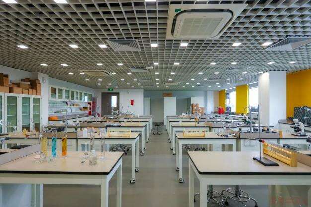 上海领科SABIS®国际项目