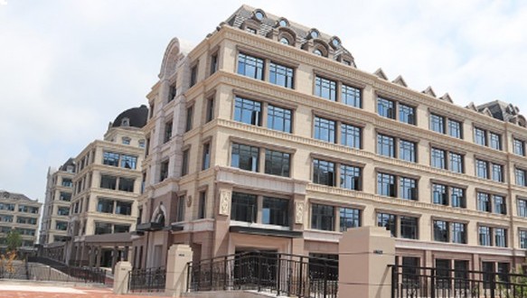 合肥新華公學(xué) DSE課程