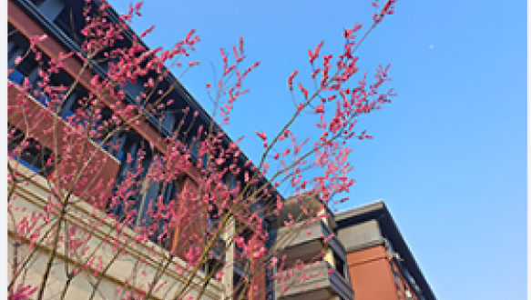 北京市世纪学校中考复读班