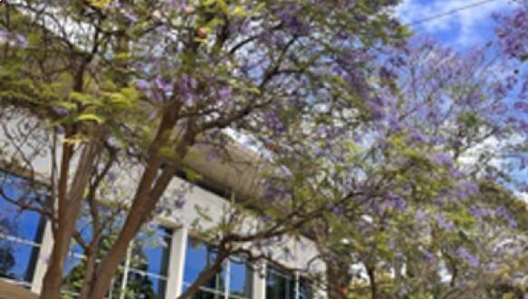 张家港外国语学校国际部中澳融合课程招生简章