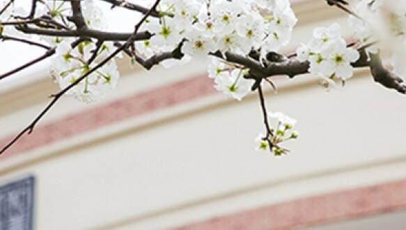 张家港外国语学校国际部初中融合班