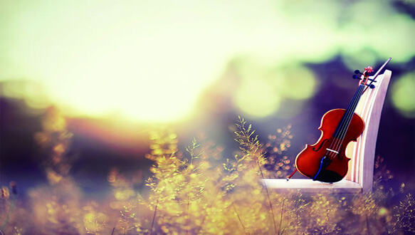 中公考研—311教育学?专业课全程直播通关班